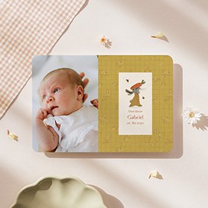 Moulin Roty x Cotton Bird