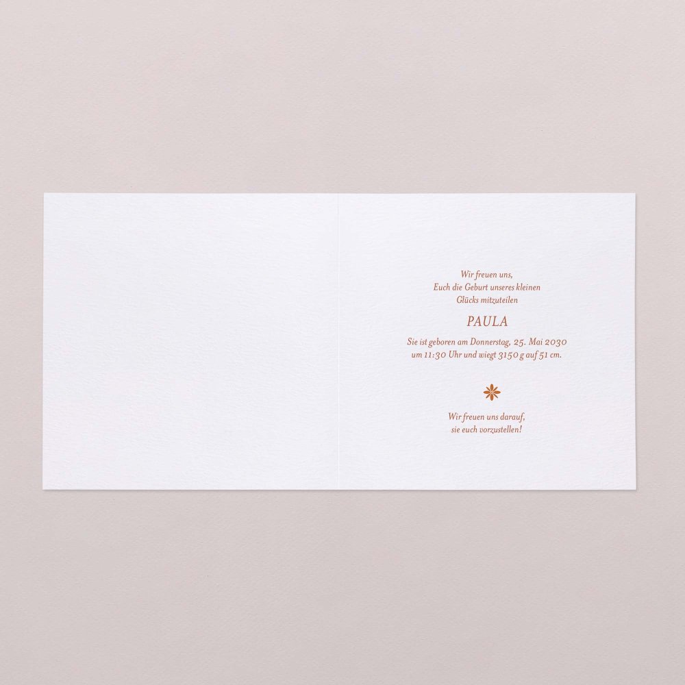 Fotostreifen-Terrakotta