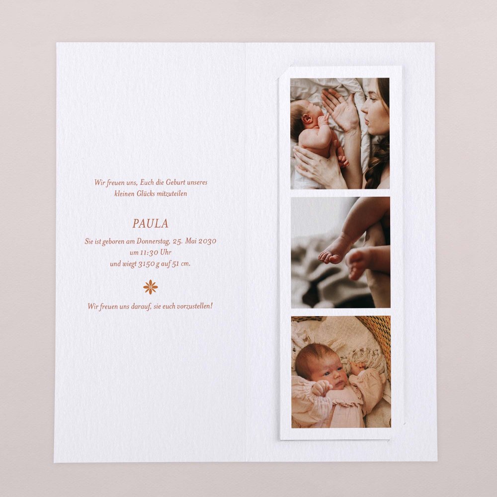 Fotostreifen-Terrakotta