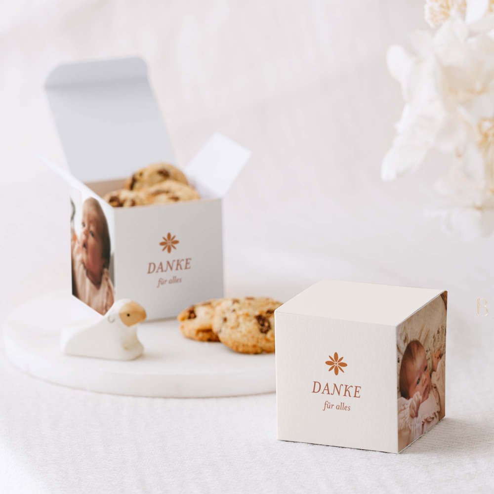 Fotostreifen-Terrakotta