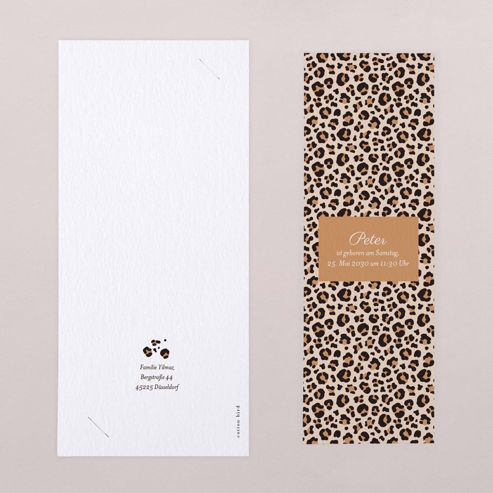 Leopardo