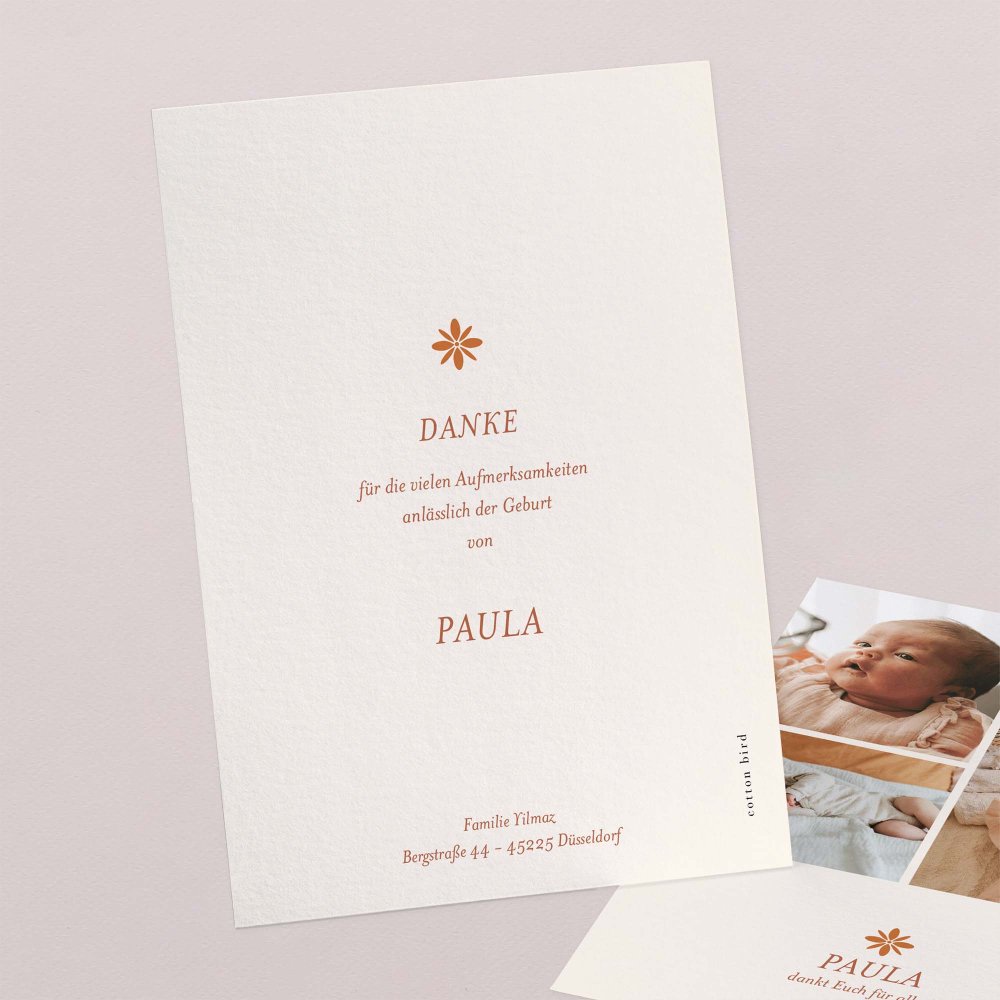 Fotostreifen-Terrakotta