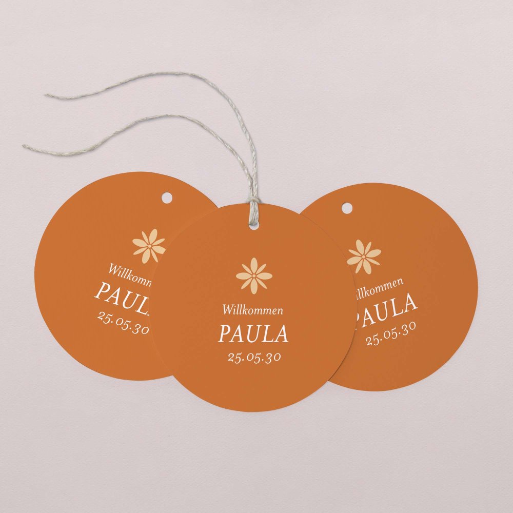 Fotostreifen-Terrakotta