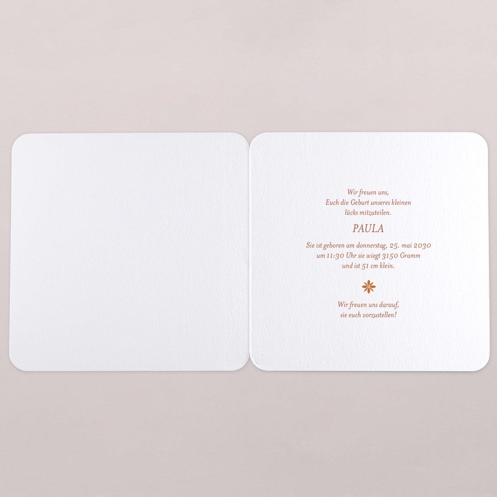 Fotostreifen-Terrakotta