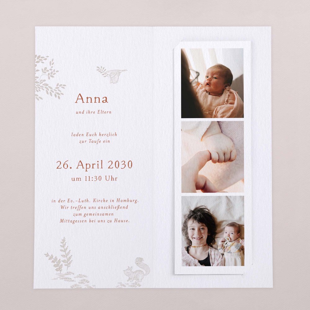 Sleeping Forest - Rosa