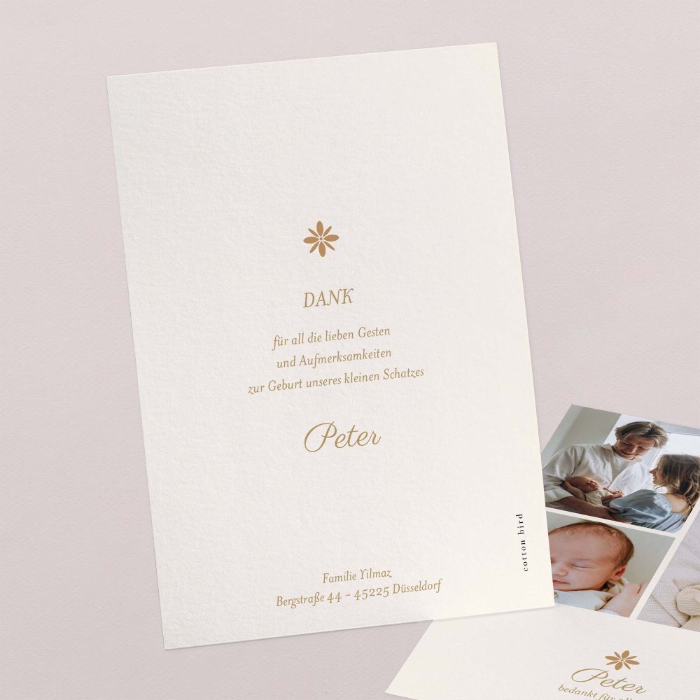 Fotostreifen - ocker