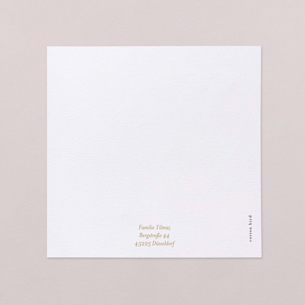 Fotostreifen - ocker