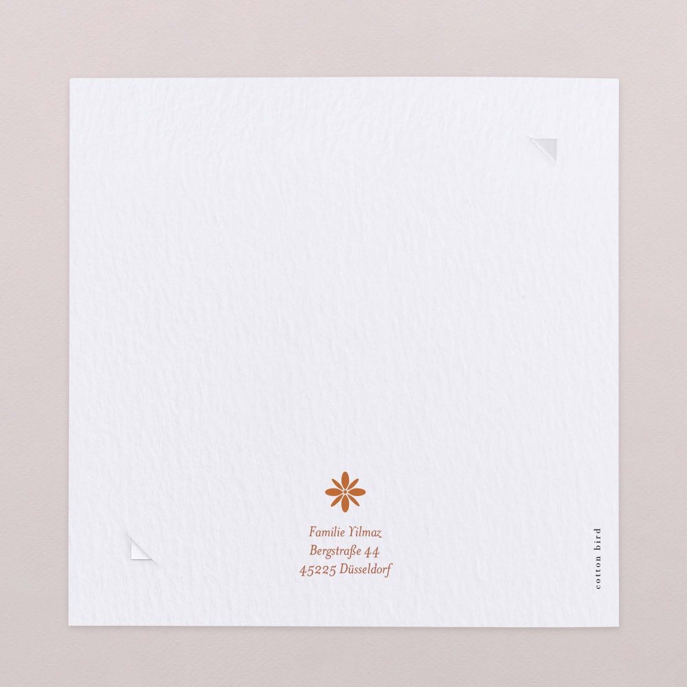 Fotostreifen-Terrakotta