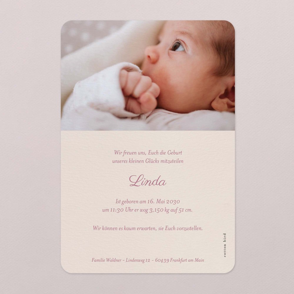 Claudine - rosa