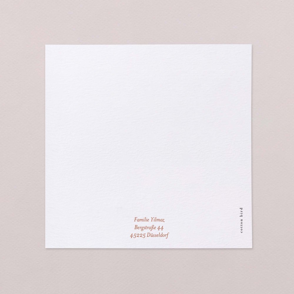 Fotostreifen-Terrakotta