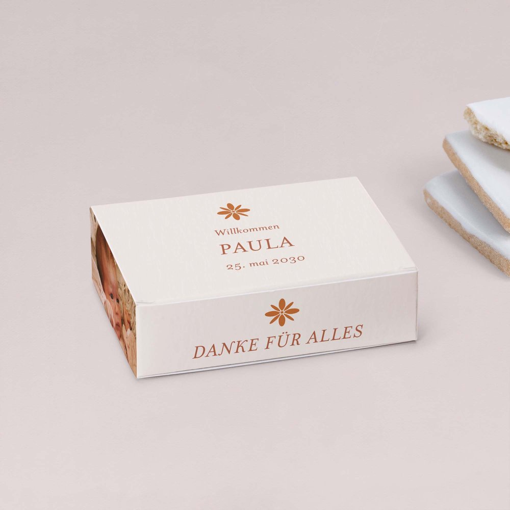 Fotostreifen-Terrakotta