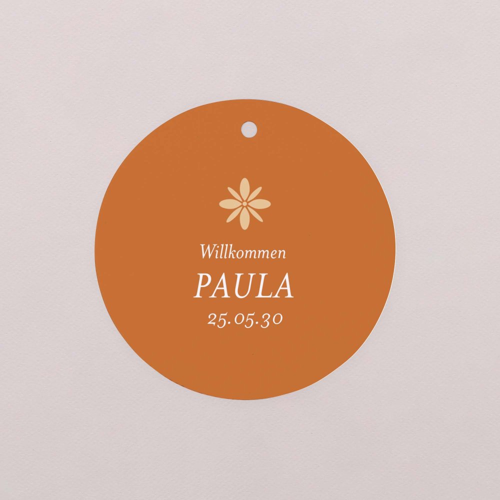 Fotostreifen-Terrakotta