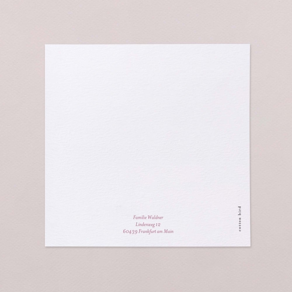 Claudine - rosa