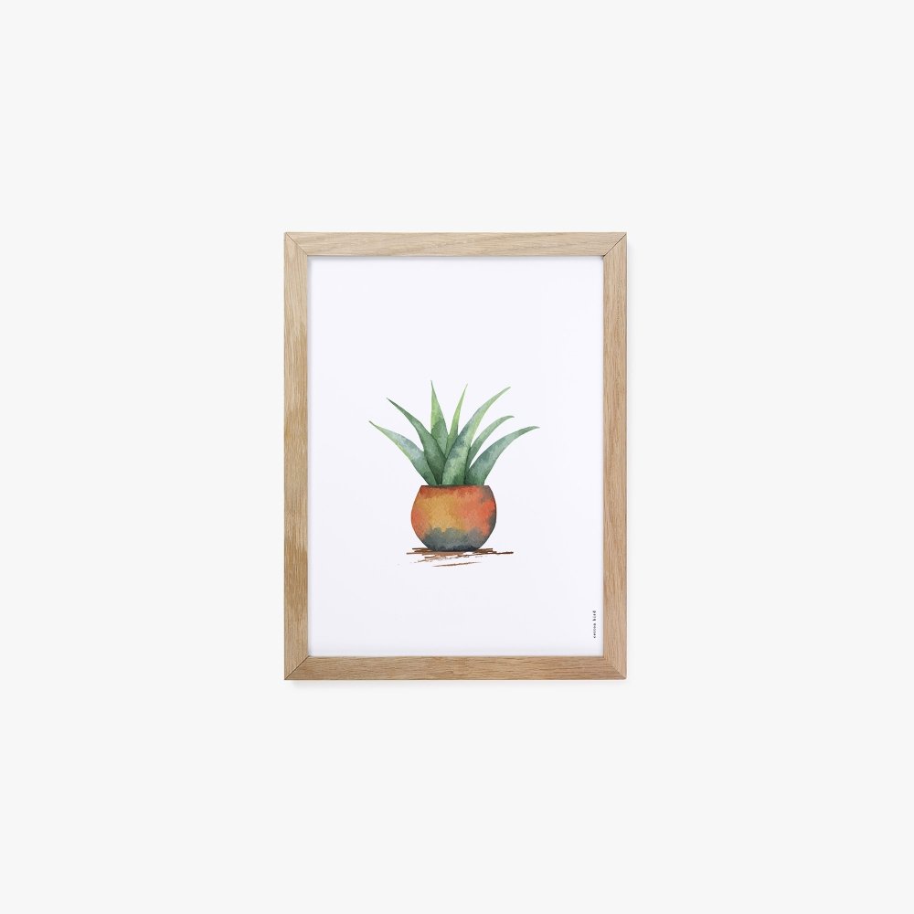 Cactus 3