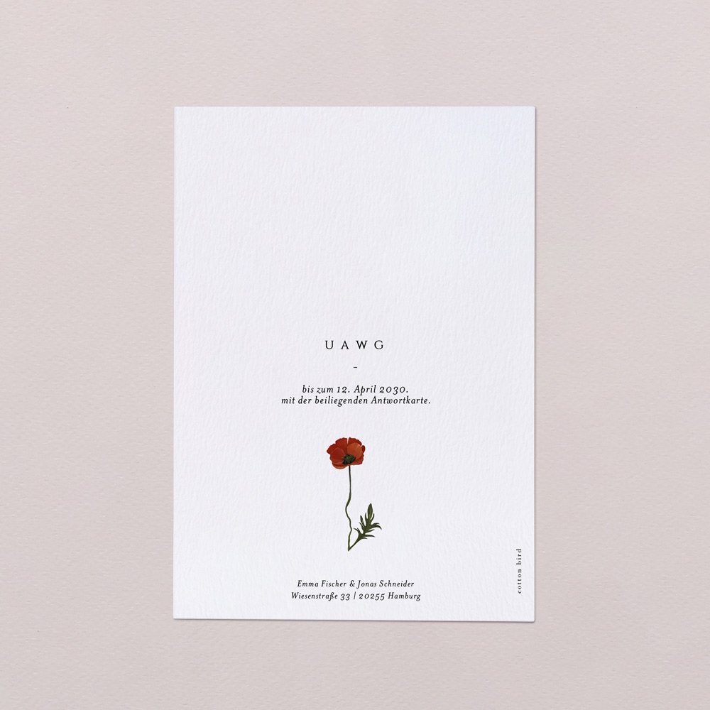 Wiesenblume