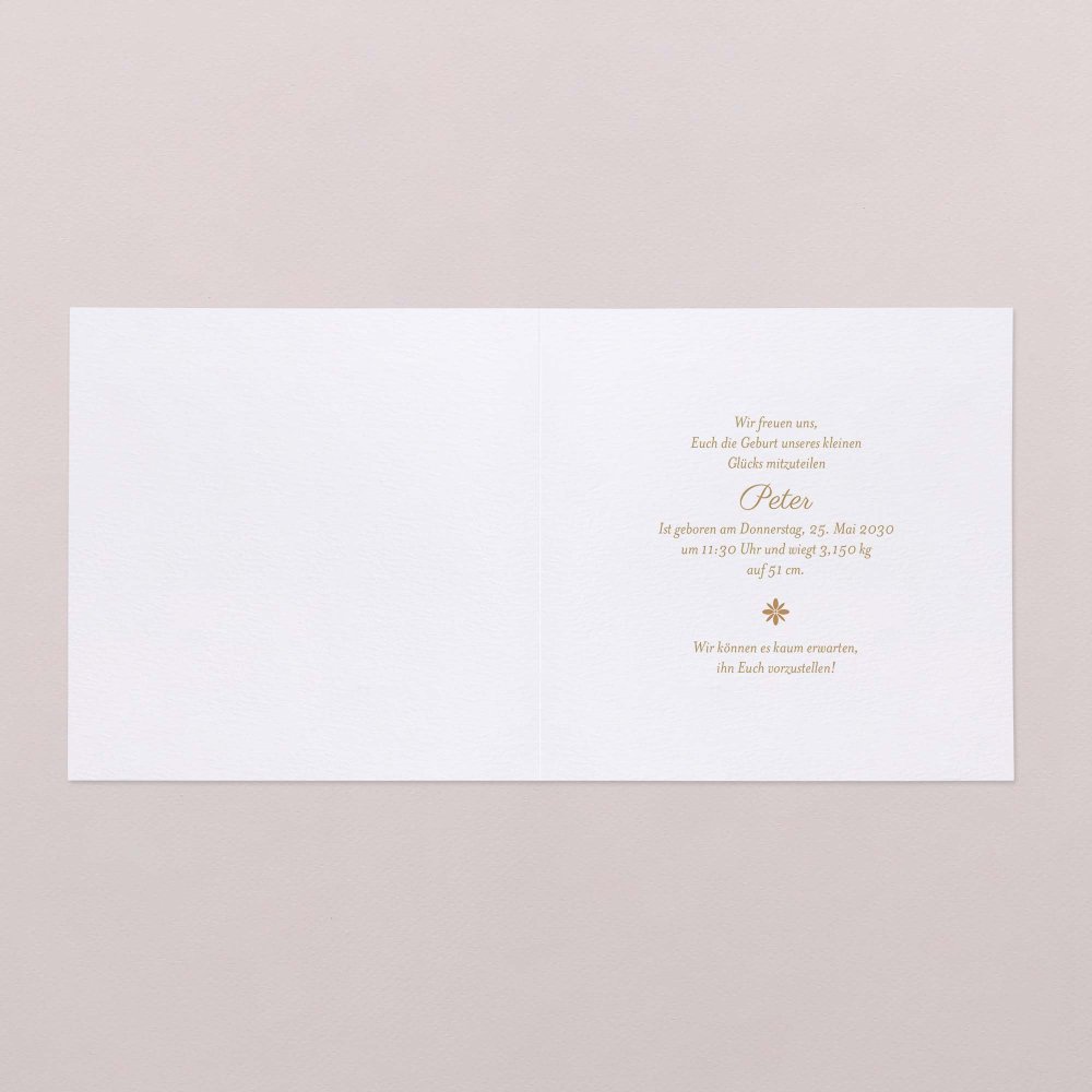 Fotostreifen - ocker