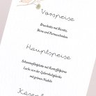 Waldgeflüster