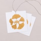 Golden Ginkgo