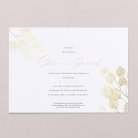 Ginkgo