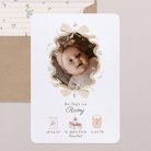 Little myosotis