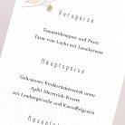 Füchslein