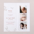 Sleeping Forest - Rosa