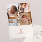 Fotostreifen-Terrakotta