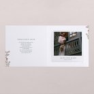 Royal garden