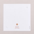 Fotostreifen-Terrakotta