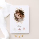 Little myosotis