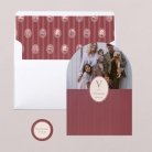Burgundy velvet