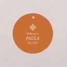 Fotostreifen-Terrakotta