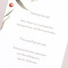 Zauberwiese