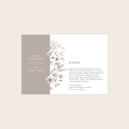 Linia