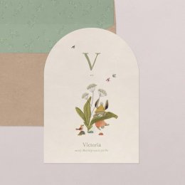 Holunderblüte