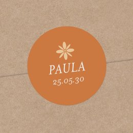 Fotostreifen-Terrakotta