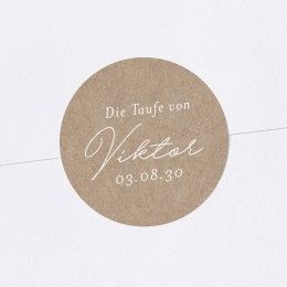 Weiße Taube