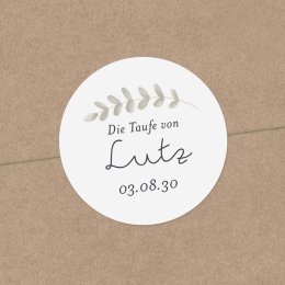 Kleine Taube