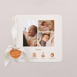 Fotostreifen-Terrakotta