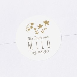 Schäfchen