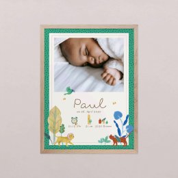 Baby Kiwi