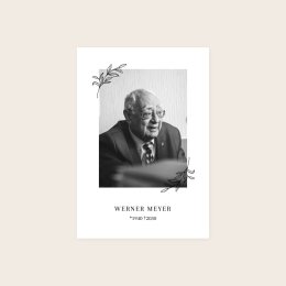 Minimalistischer Zweig