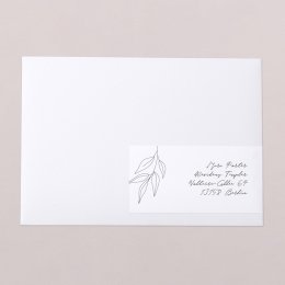 Delicate