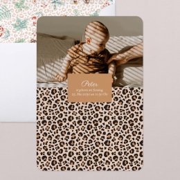 Leopardo