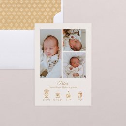 Fotostreifen - ocker