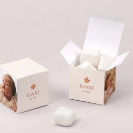 Fotostreifen-Terrakotta