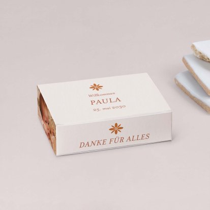 Fotostreifen-Terrakotta