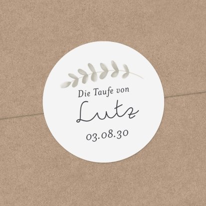 Kleine Taube