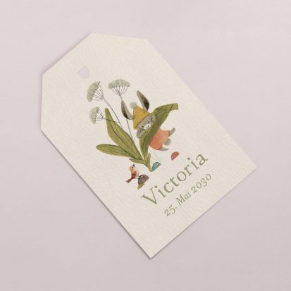 Holunderblüte