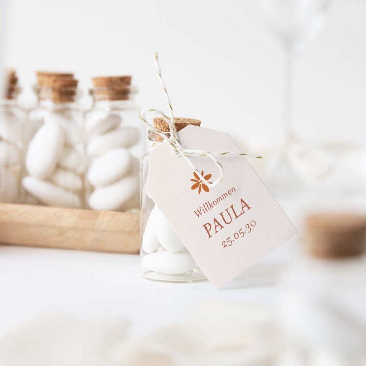 Fotostreifen-Terrakotta